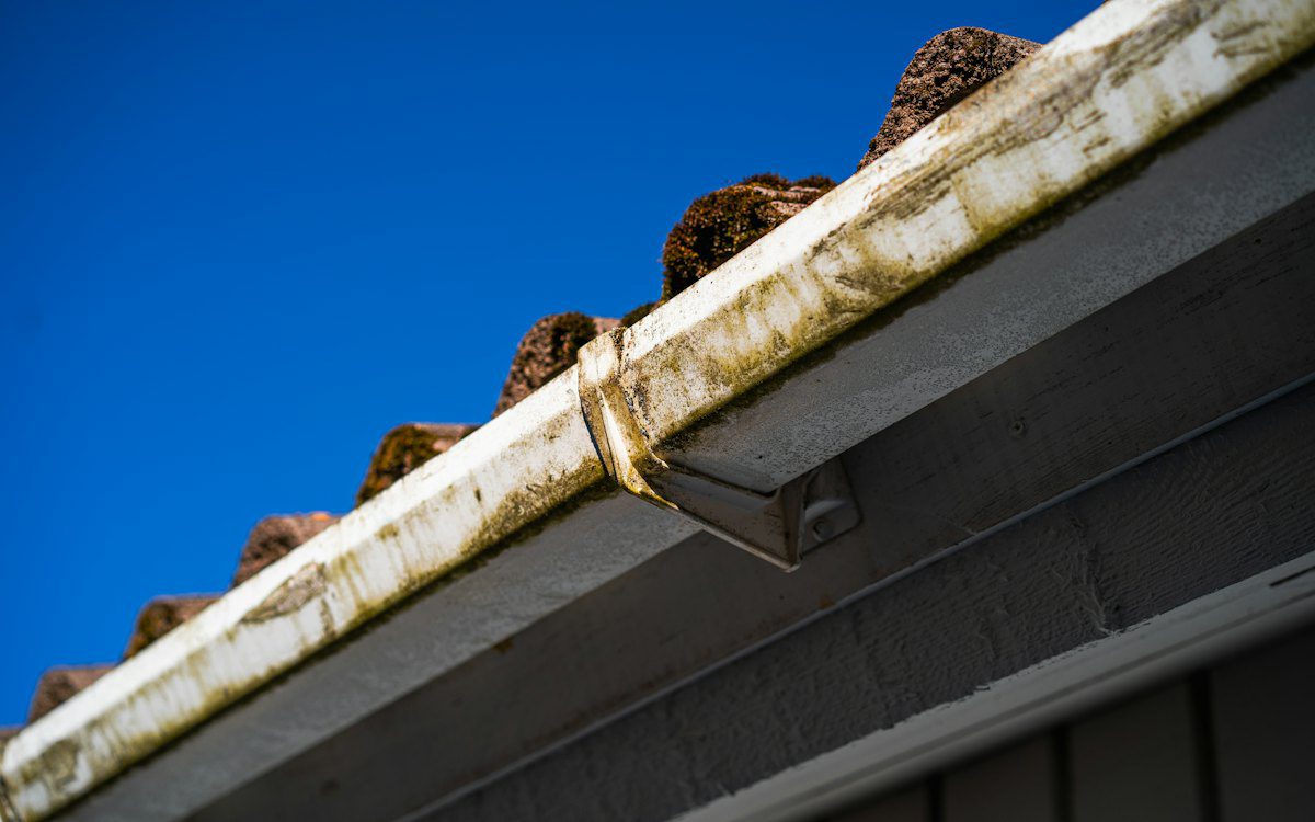 Gutter cleaning Kildare: gutter clogged with moss below a tiled roof