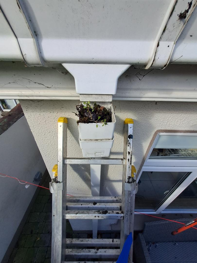 Before and after exterior cleaning Kildare: blocked downpipe outlet cleared, before