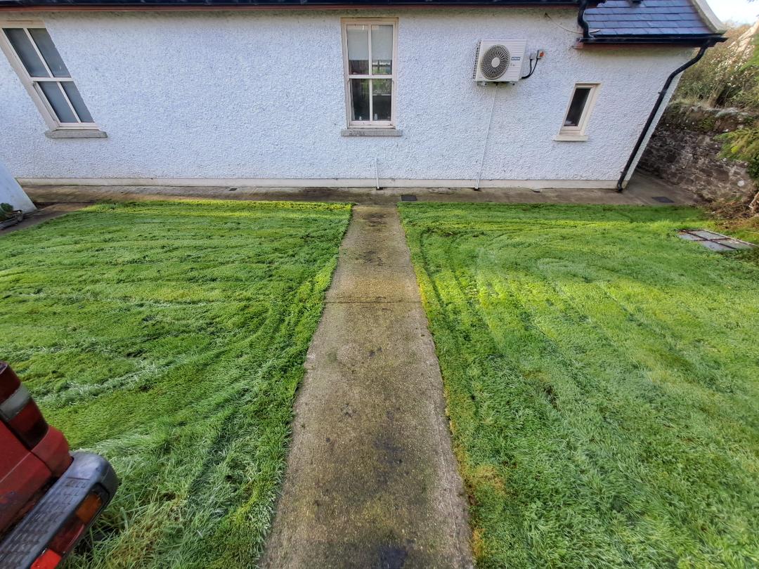 Before and after exterior cleaning Kildare: concrete path pressure washed, before